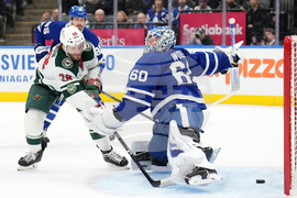 Wild Maple Leafs Hockey