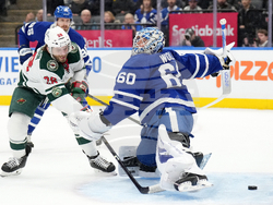 Wild Maple Leafs Hockey