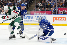 Wild Maple Leafs Hockey