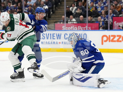 Wild Maple Leafs Hockey