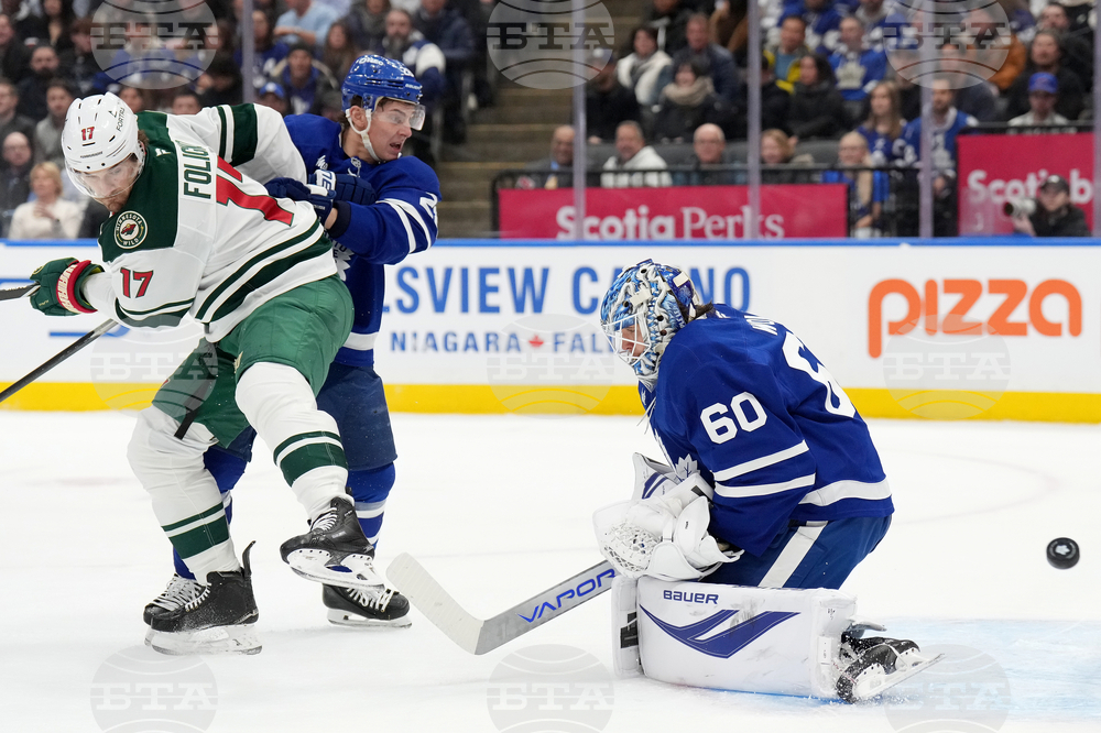 Wild Maple Leafs Hockey