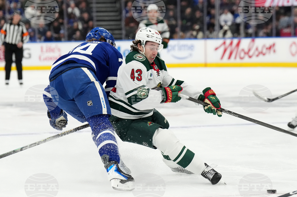 Wild Maple Leafs Hockey