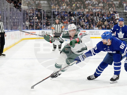 Wild Maple Leafs Hockey
