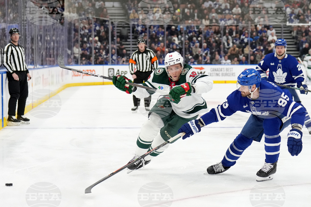 Wild Maple Leafs Hockey