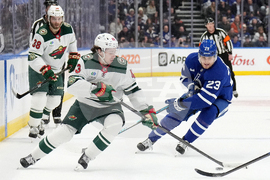 Wild Maple Leafs Hockey