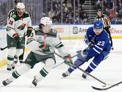 Wild Maple Leafs Hockey