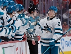 Sharks Panthers Hockey