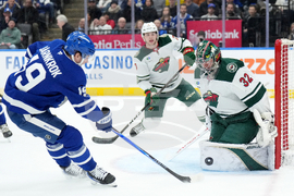 Wild Maple Leafs Hockey