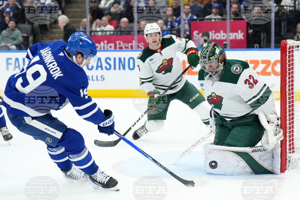 Wild Maple Leafs Hockey