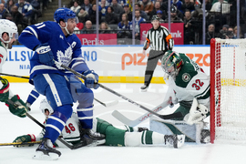 Wild Maple Leafs Hockey