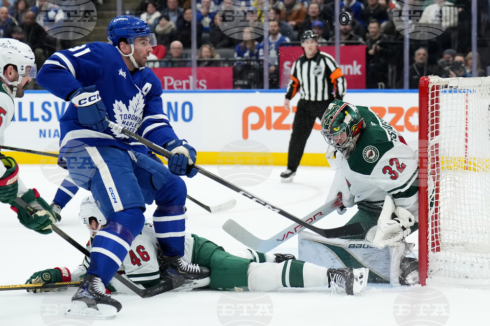 Wild Maple Leafs Hockey