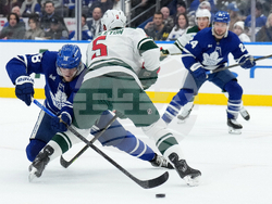 Wild Maple Leafs Hockey