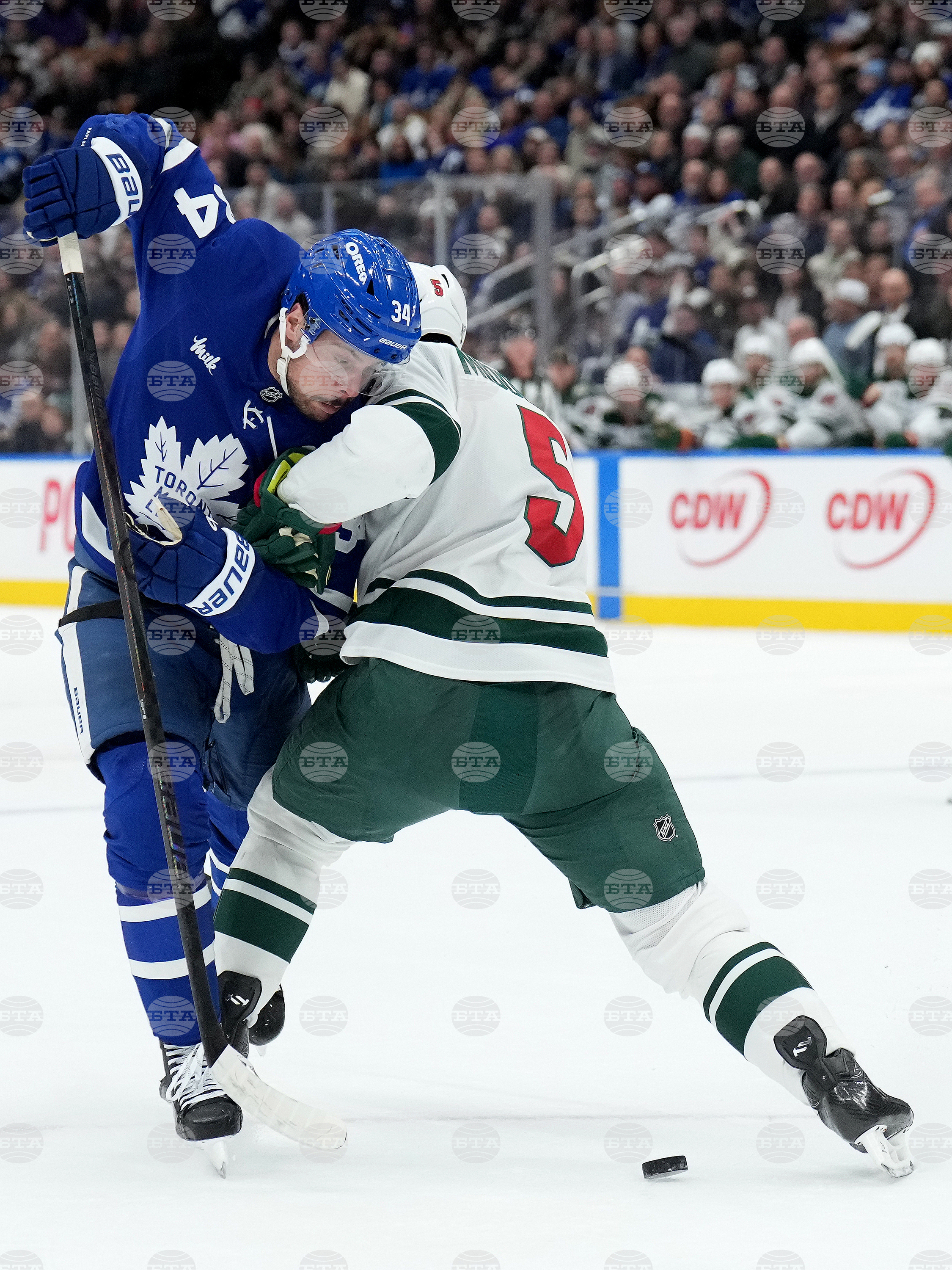 Wild Maple Leafs Hockey