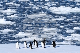 Climate Penguins