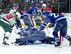 Wild Maple Leafs Hockey