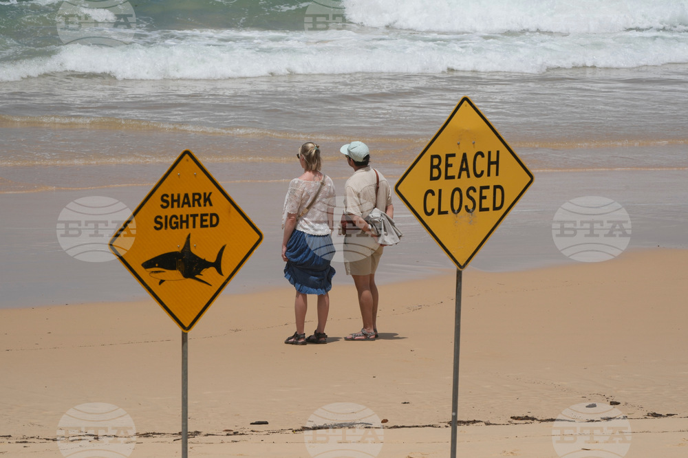 Australia Shark Attacks