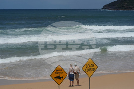 Australia Shark Attacks