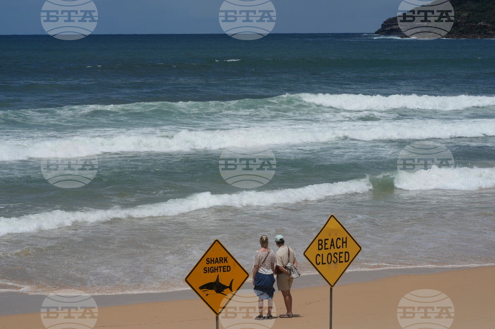 Australia Shark Attacks
