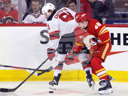 Devils Flames Hockey