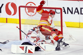 Devils Flames Hockey