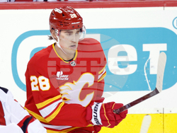 Devils Flames Hockey