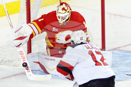 Devils Flames Hockey