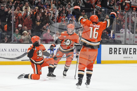 Rangers Ducks Hockey