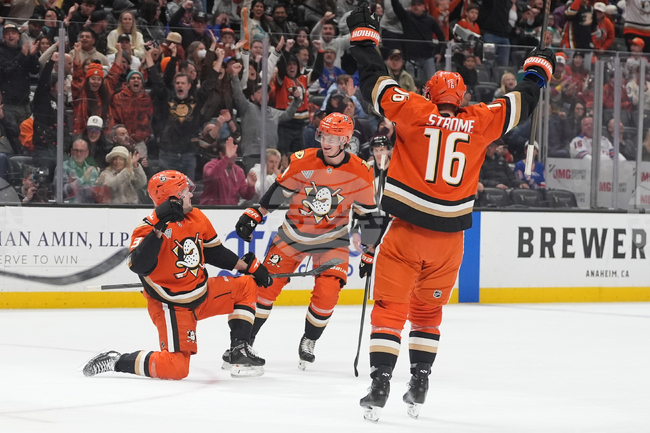 Rangers Ducks Hockey