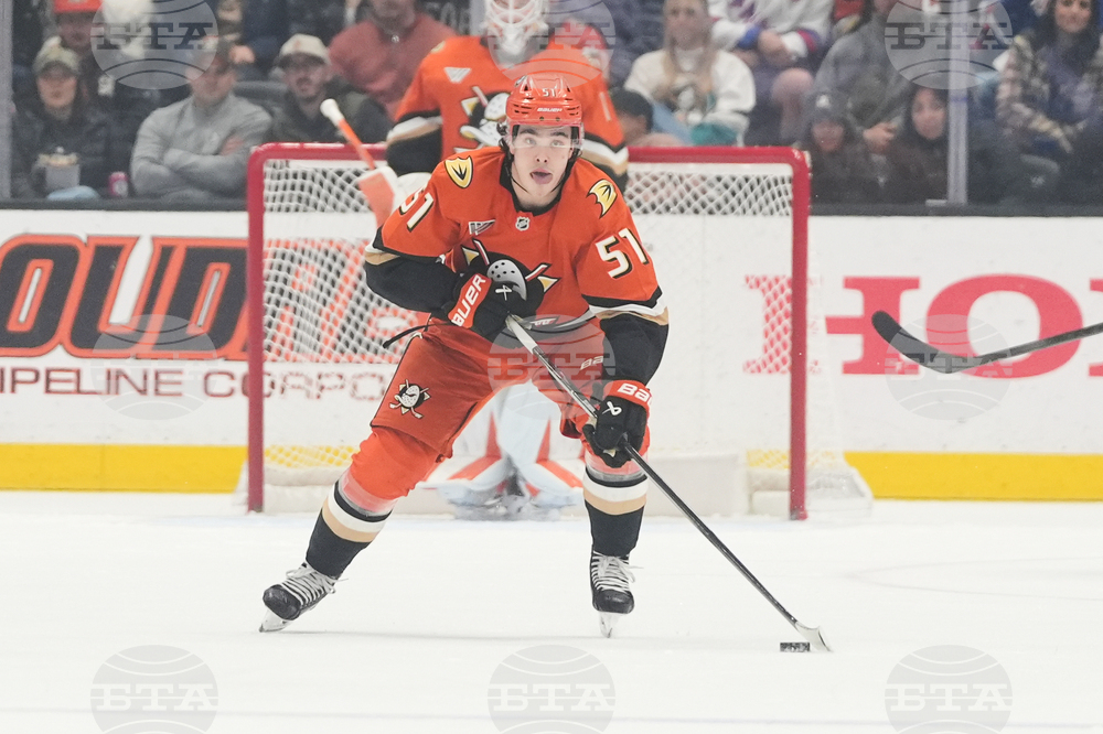 Rangers Ducks Hockey