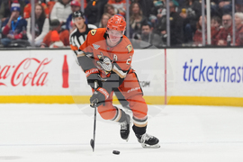 Rangers Ducks Hockey