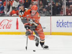 Rangers Ducks Hockey