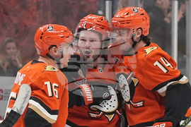 Rangers Ducks Hockey