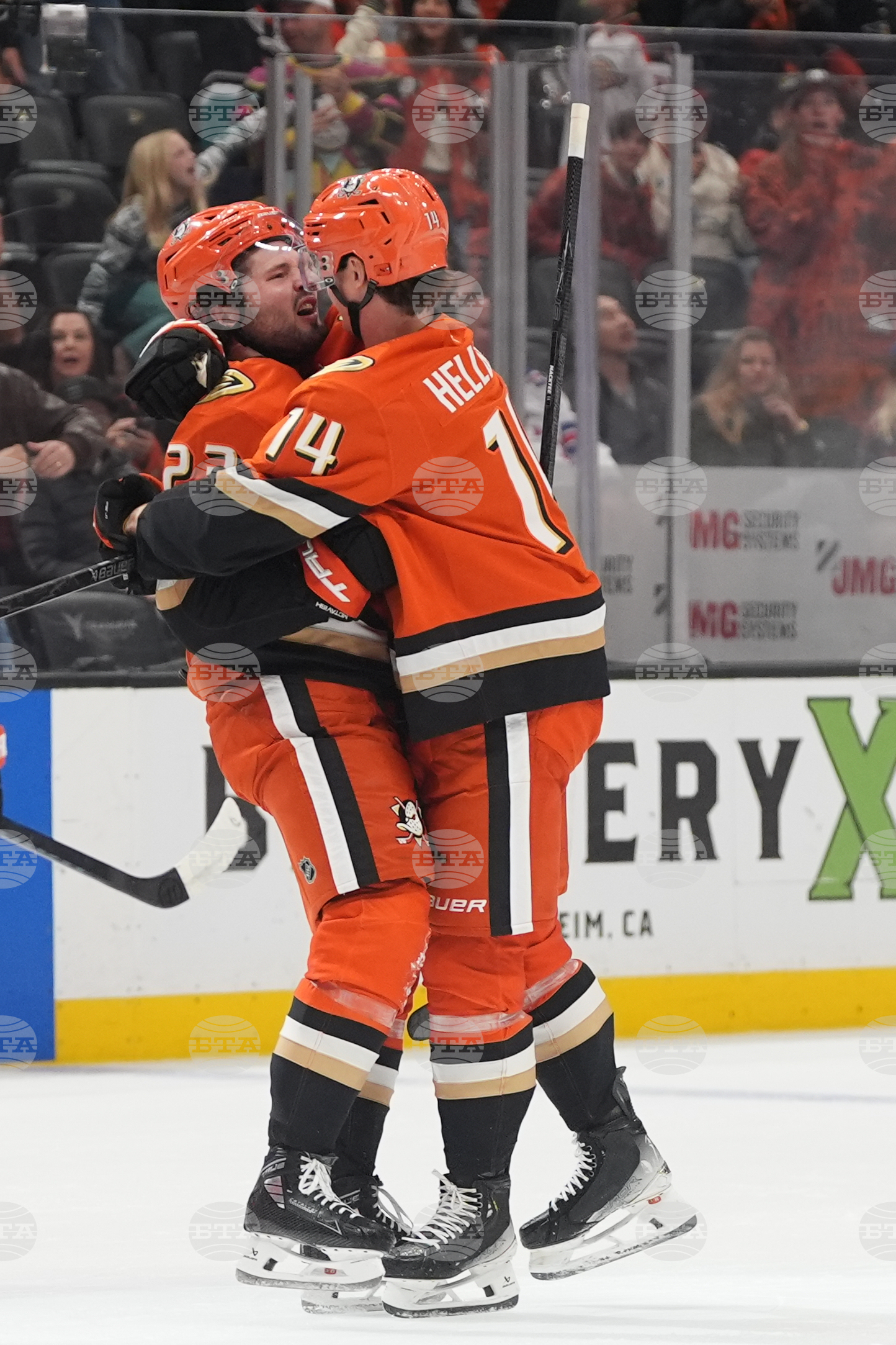 Rangers Ducks Hockey