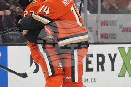 Rangers Ducks Hockey