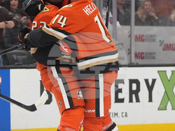 Rangers Ducks Hockey