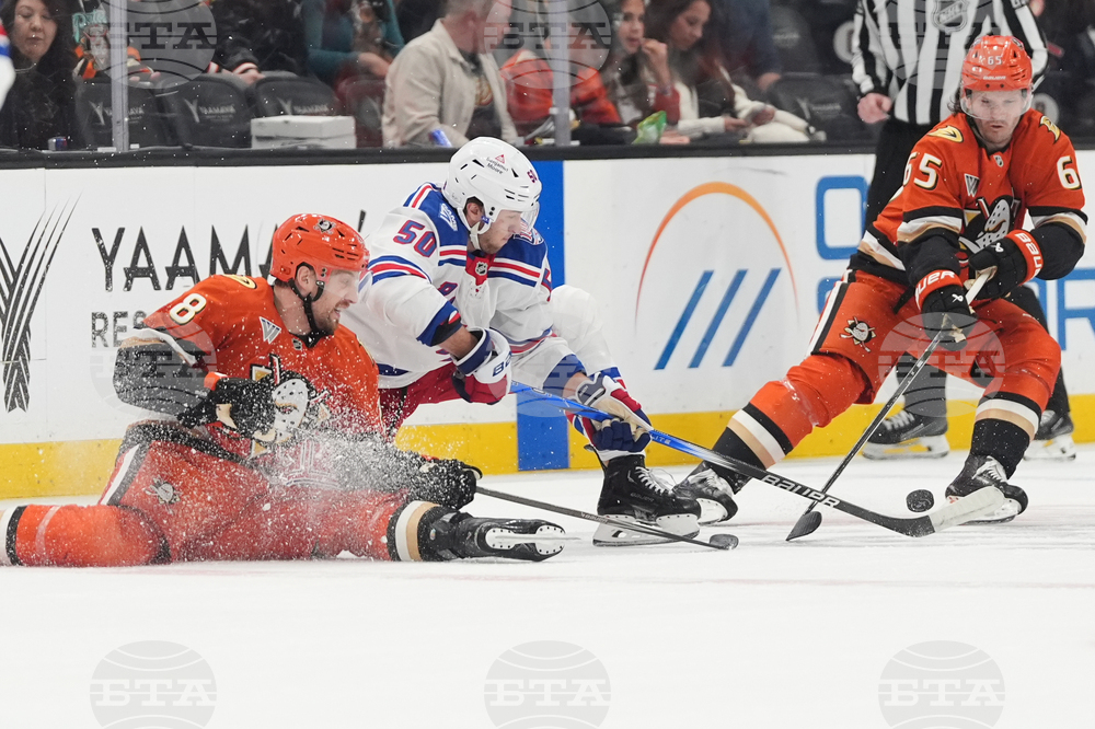 Rangers Ducks Hockey