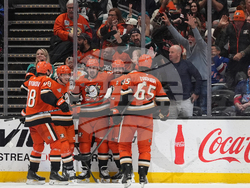 Rangers Ducks Hockey