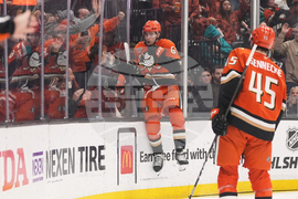 Rangers Ducks Hockey