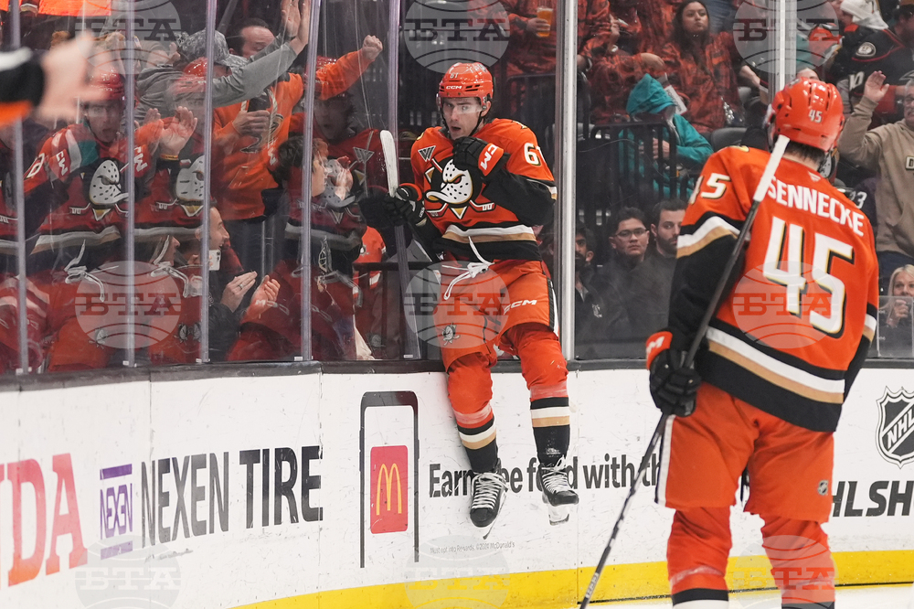 Rangers Ducks Hockey