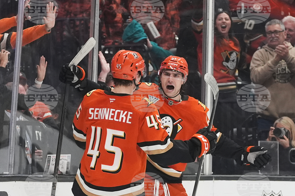 Rangers Ducks Hockey