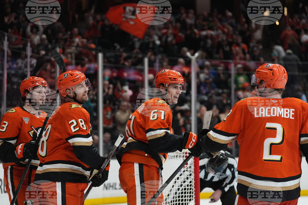 Rangers Ducks Hockey