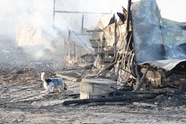 Варна - конна база „Фанагория“ - пожар