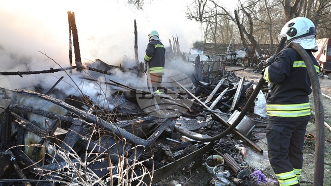Седем животни изгоряха при пожар в конна база „Фанагория“ във Варна