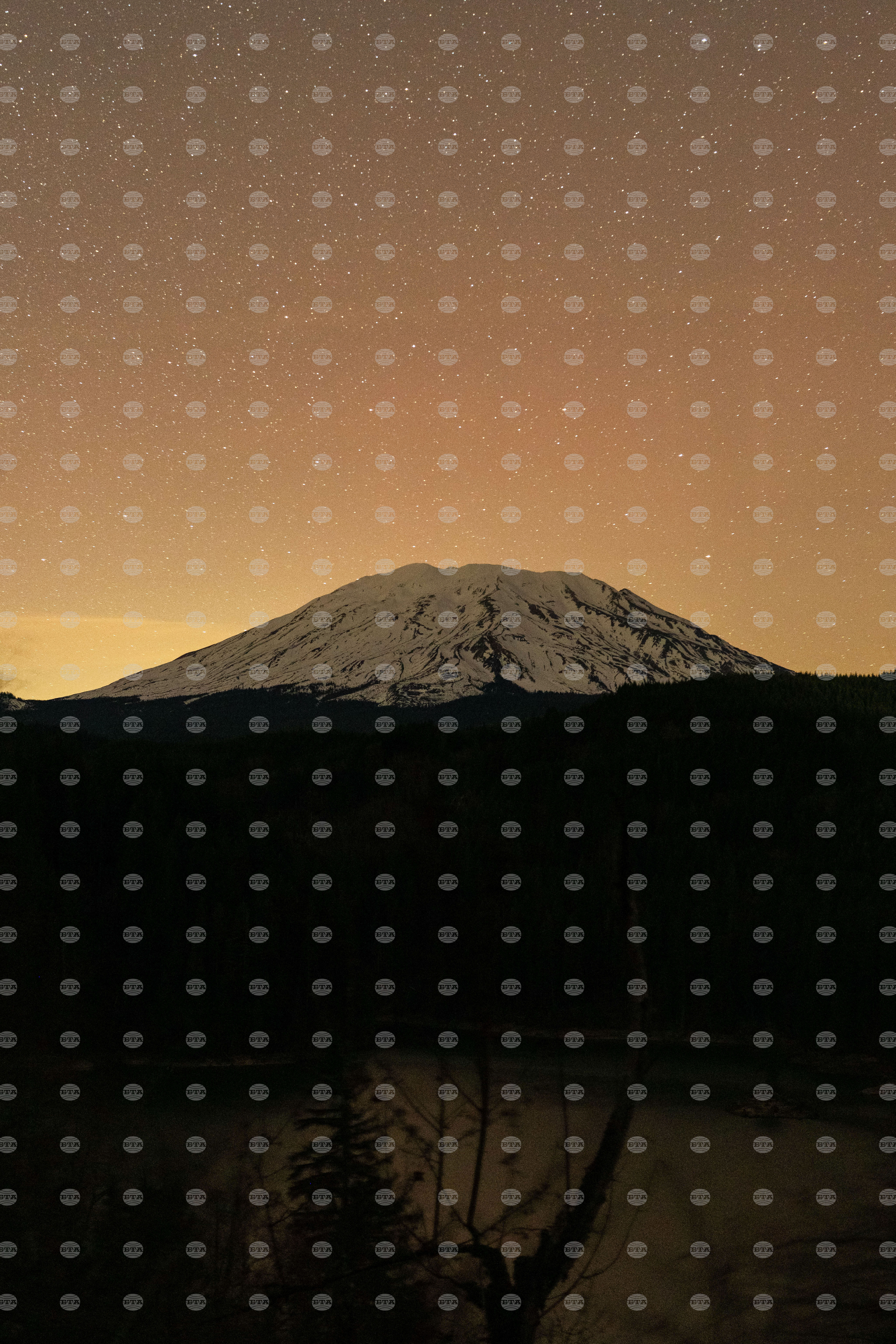 Washington Northern Lights