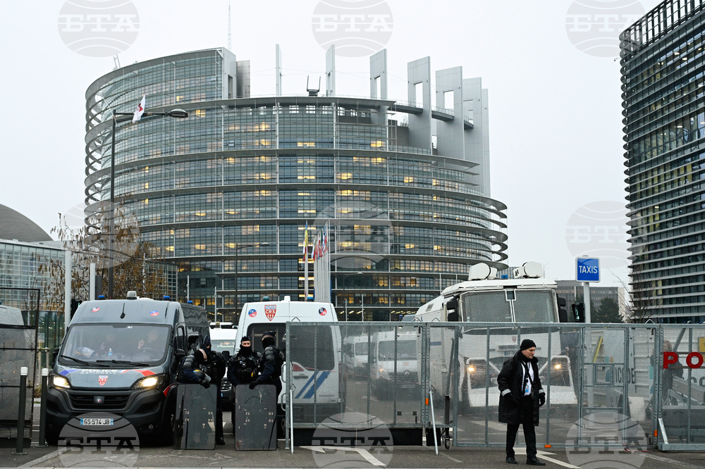 Европейският парламент поиска становище на Съда на ЕС за търговското споразумение с Меркосур 