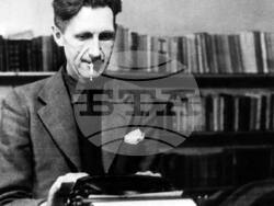 Номинираните за „Златна палма“ „Оруел: 2+2 = 5“ на Раул Пек и „Орлите на Кайро“ на Тарик Салех са в програмата на 30-ото юбилейно издание на „София филм фест“