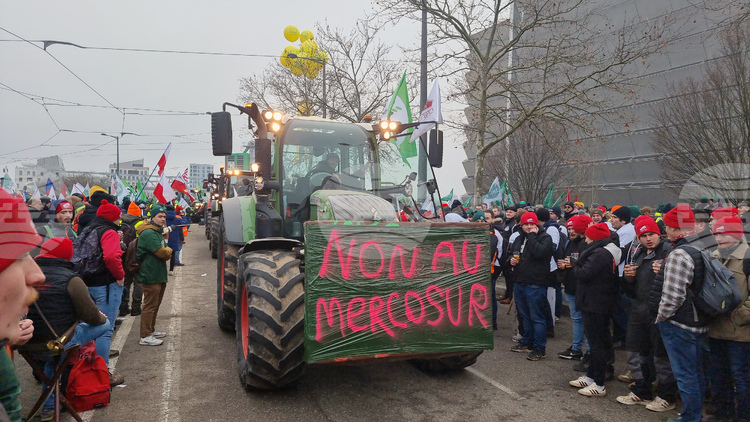 European Farmers Protest EU-Mercosur Trade Deal Outside European Parliament, Some 40 Bulgarians Participate