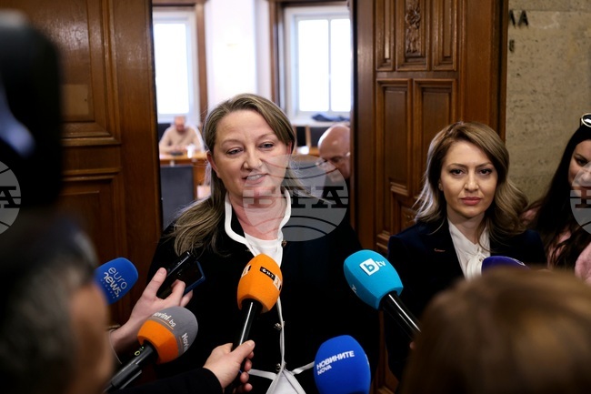 Народно събрание - Деница Сачева - Рая Назарян - изявление