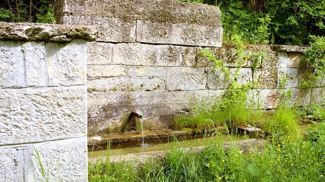 Българска фондация „Биоразнообразие“ възстанови обществени чешми край Провадия