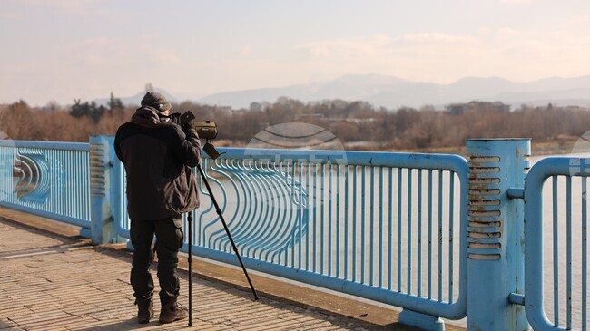 Над 2500 индивида от общо 20 вида водолюбиви птици са преброени в Източните Родопи в рамките на 50-то среднозимно преброяване в България